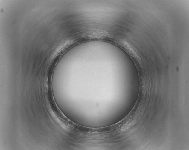 X0000089350634200706150846