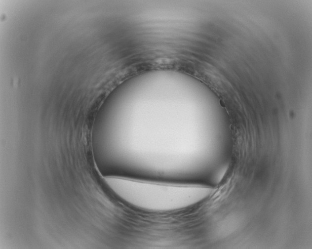 X0000089350654200706150847