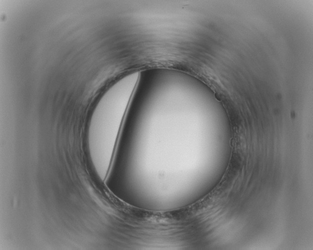 X0000089350742200706150845