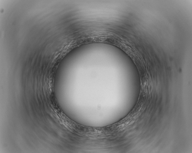X0000089350772200706150845