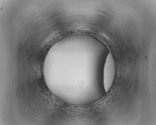 X0000089350774200706150845