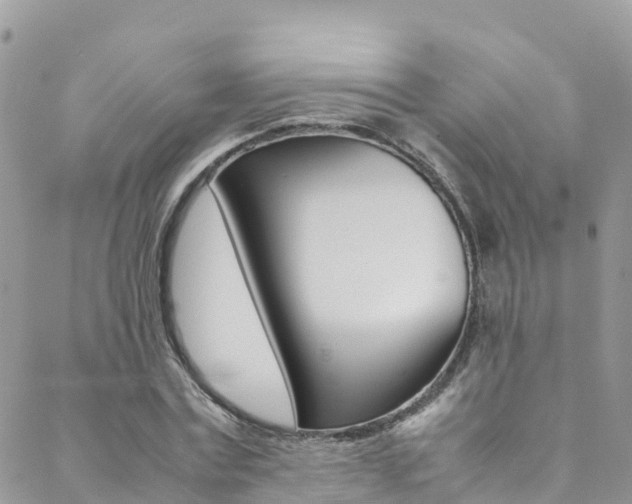 X0000089350779200706150844