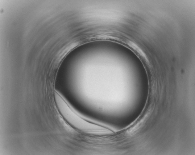 X0000089350801200706150844