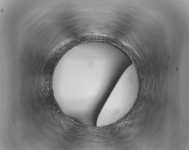 X0000089350870200706150843