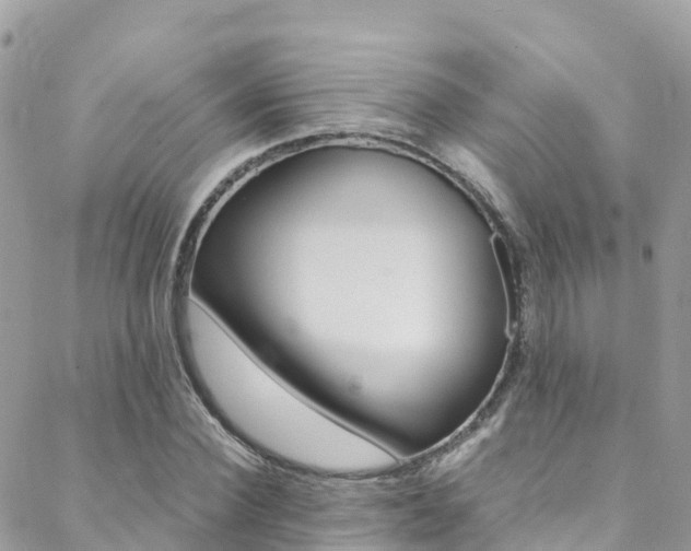 X0000089350924200706150842