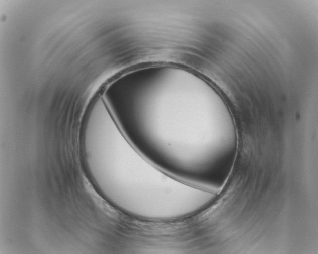 X0000089350980200706150841