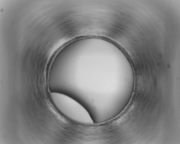 X0000089350982200706150841
