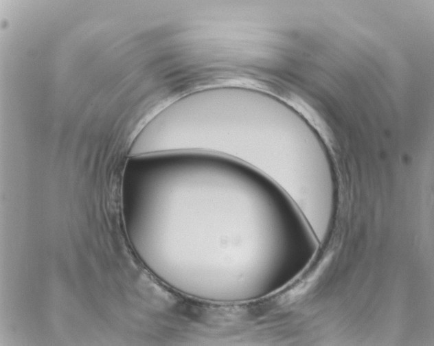 X0000089351001200706150841