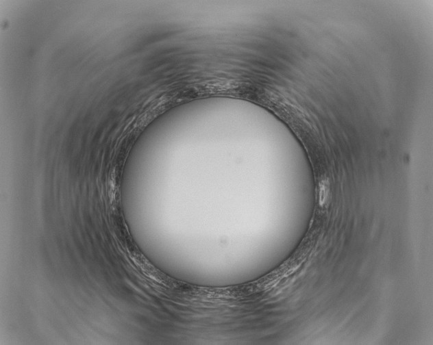 X0000089351011200706150840