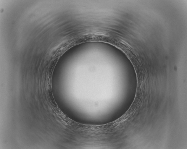 X0000089351014200706150840