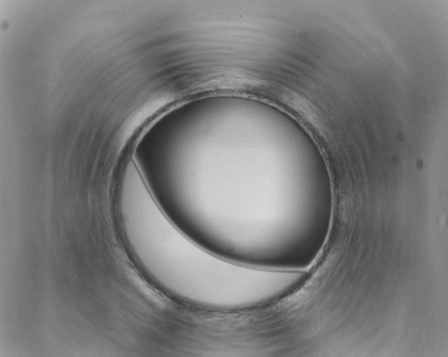X0000089351026200706150840