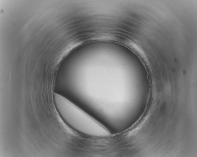 X0000089351041200706150840