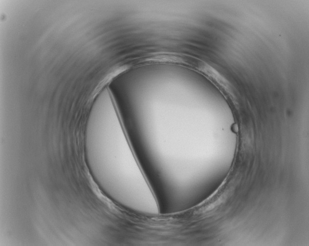 X0000089351049200706150841