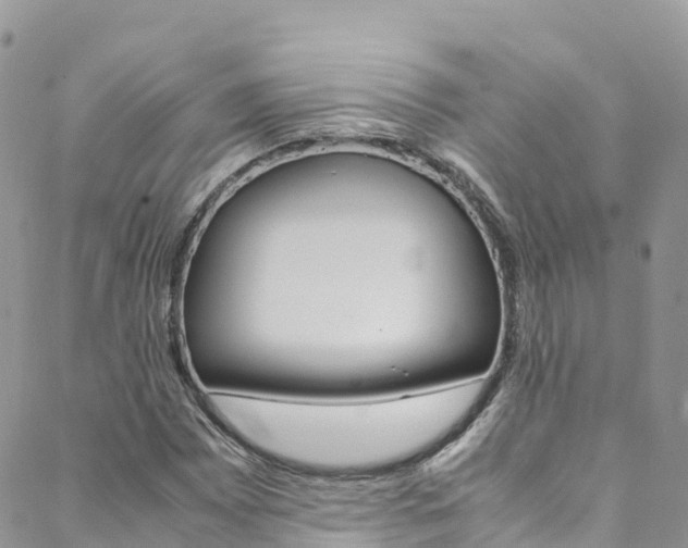 X0000089351065200706150840