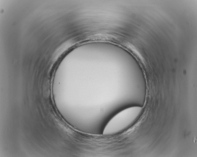 X0000089351075200706150840