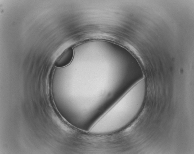 X0000089351082200706150839