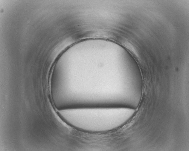X0000089351087200706150839