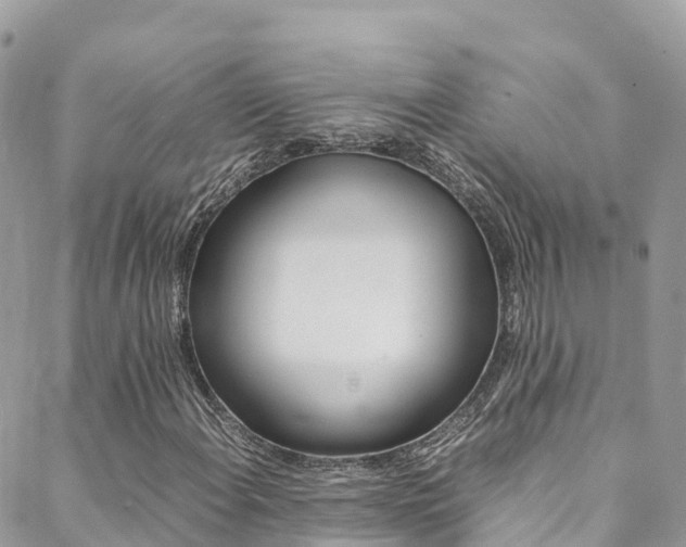 X0000089351108200706150838