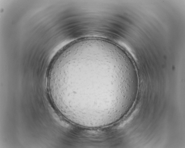 X0000089351125200706150839