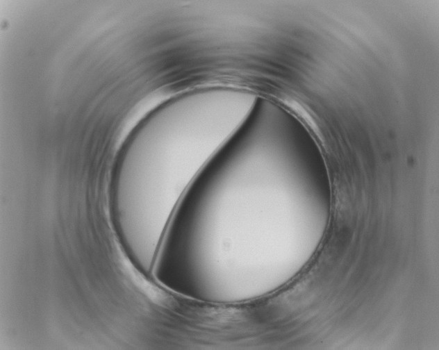X0000089351131200706150839