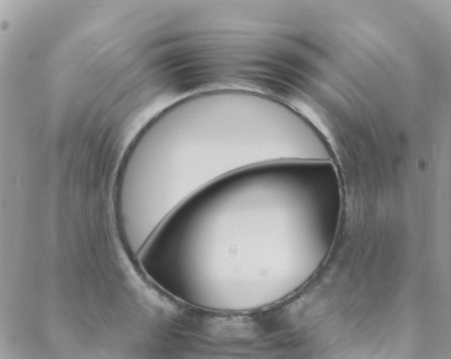 X0000089351133200706150839