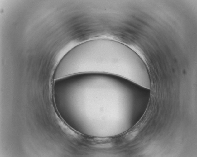 X0000089351151200706150839