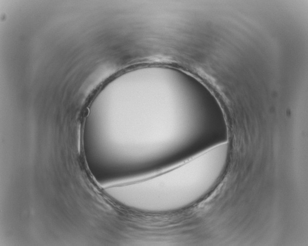 X0000089351171200706150838