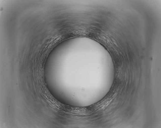X0000089351201200706150837