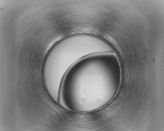 X0000089351218200706150837