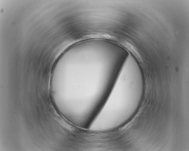 X0000089351228200706150837