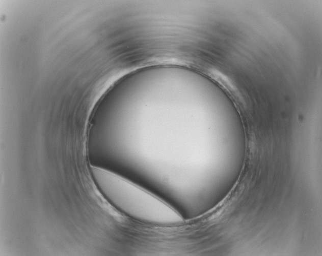 X0000089351236200706150837