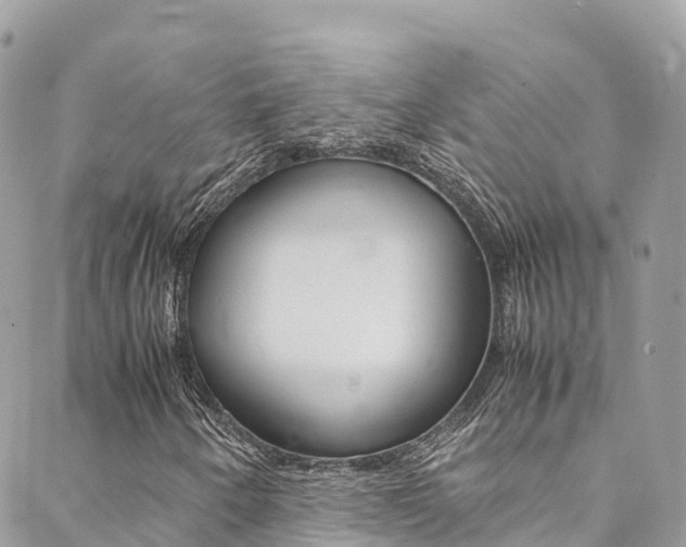 X0000089351250200706150837
