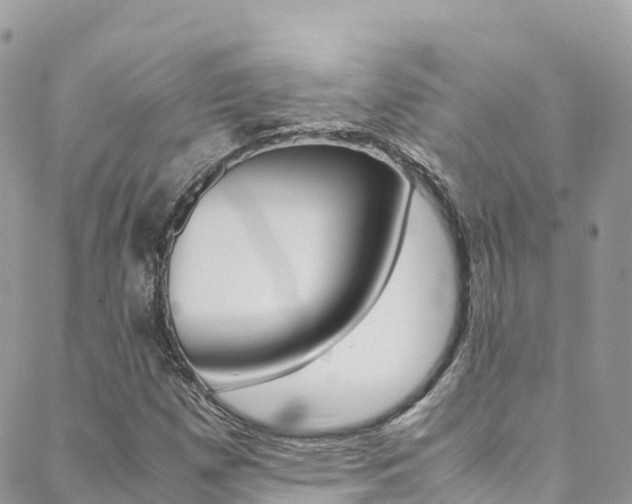 X0000089351257200706150837