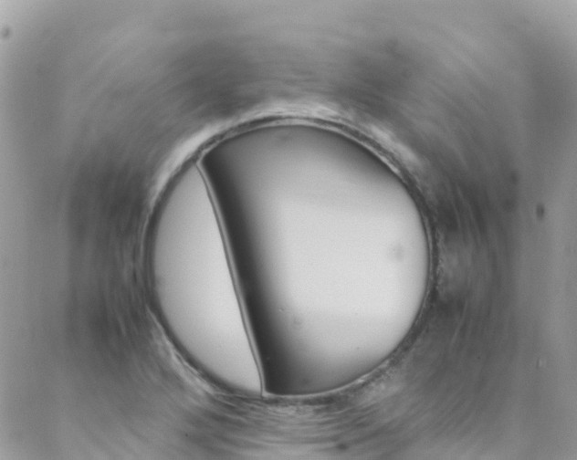 X0000089351272200706150836