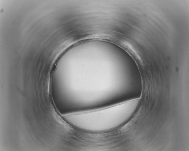 X0000089351276200706150836
