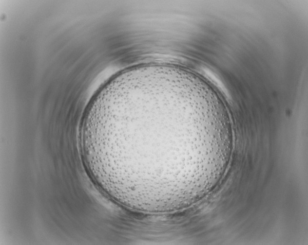 X0000089351283200706150836