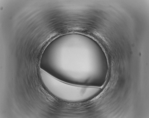 X0000089351305200706150835