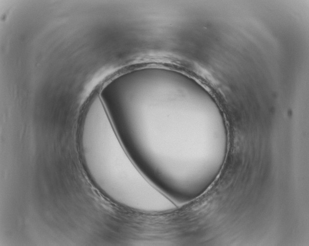 X0000089351312200706150835