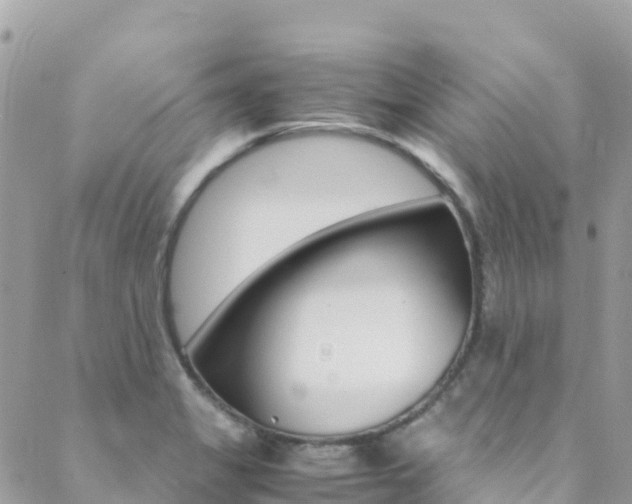 X0000089351325200706150836