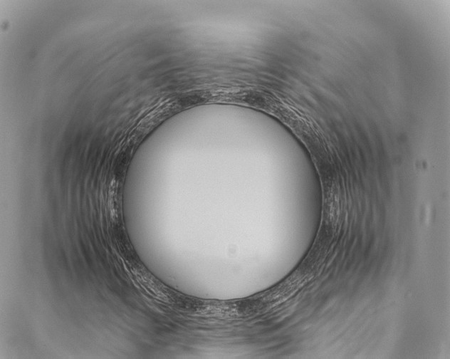 X0000089351346200706150835