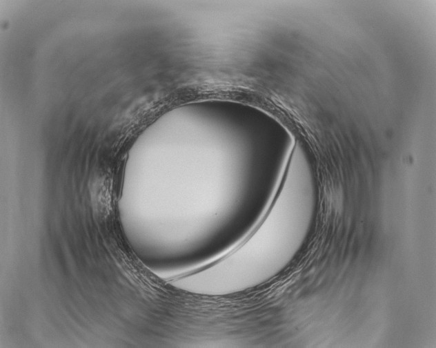 X0000089351348200706150835