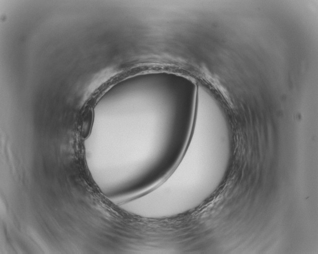 X0000089351352200706150835
