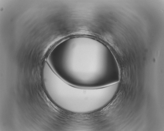X0000089351356200706150835