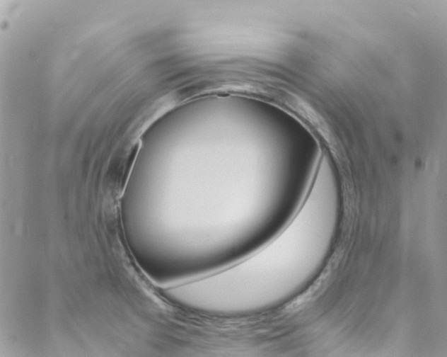 X0000089351377200706150835