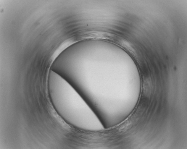X0000089351378200706150835