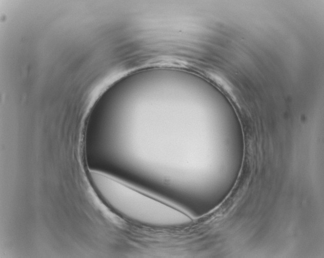 X0000089351379200706150835