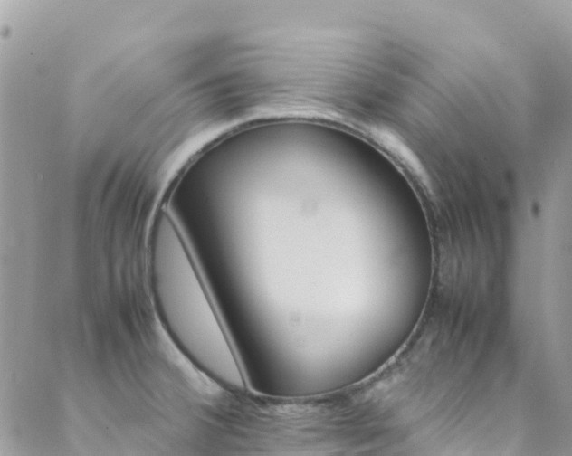 X0000089351380200706150835