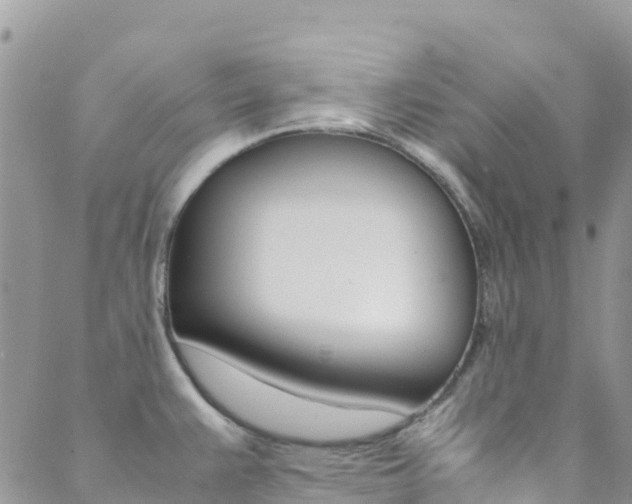 X0000089351383200706150835