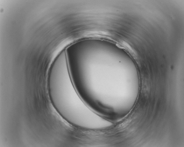 X0000089351384200706150835