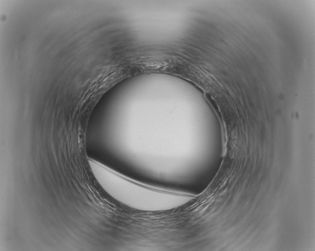 X0000089351394200706150834